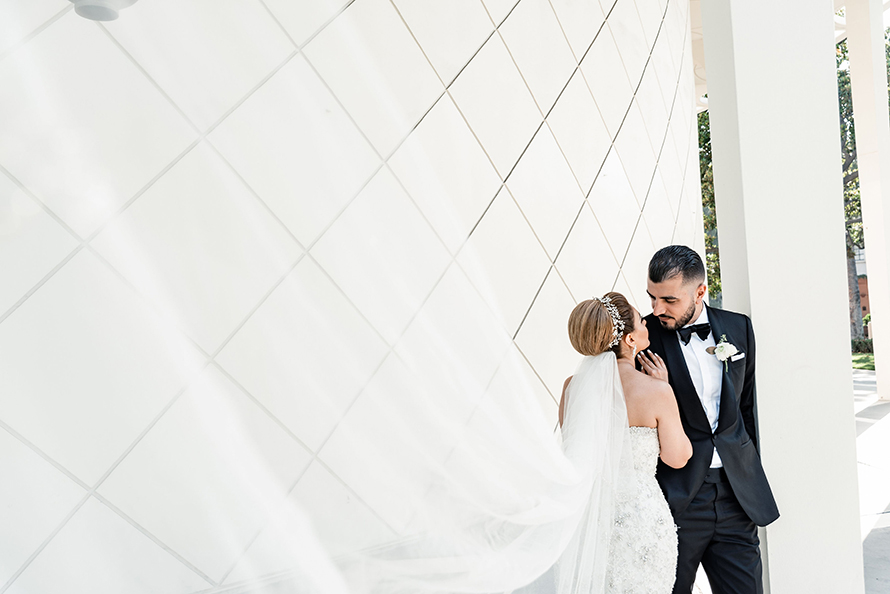 Wedding Veil